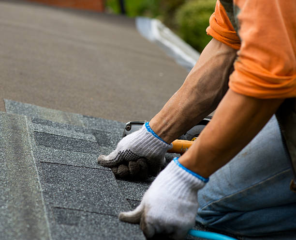 Best Gutter Installation and Roofing  in Semmes, AL