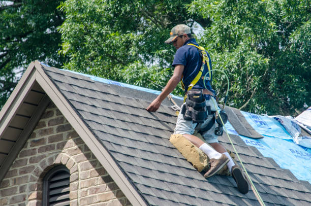 Best Roof Repair Services  in Semmes, AL